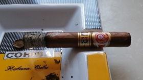 国产雪茄怎样养殖的视频,从选种到养护的全程指南